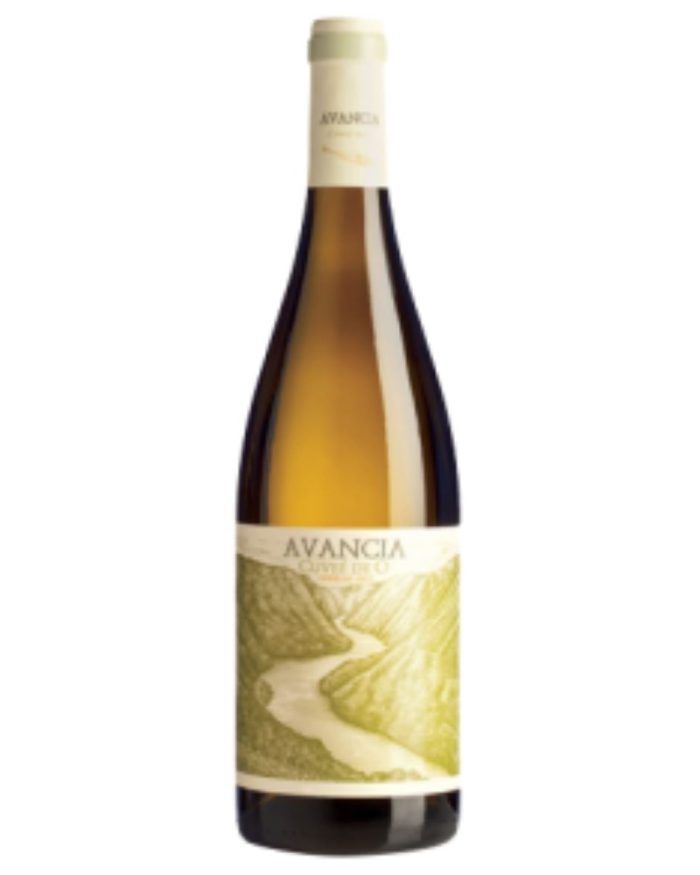 avancia godello