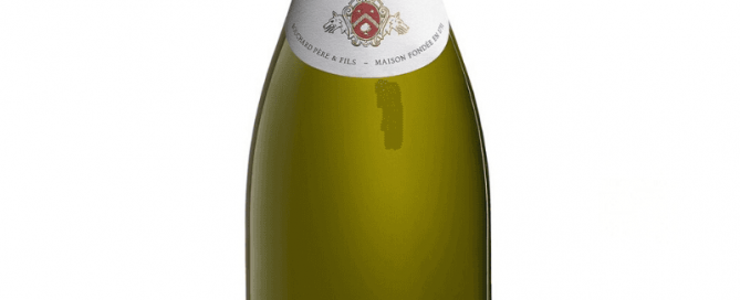 Beaune CLos saint Landry
