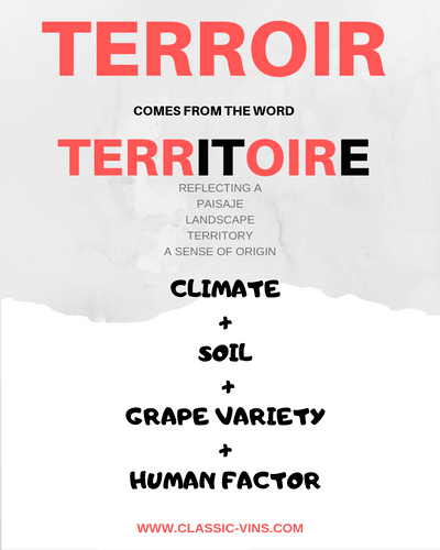 TERROIR