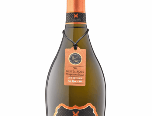 Castellroig / Sabaté i Coca – Terroir-Driven Sparkling Excellence from Penedès
