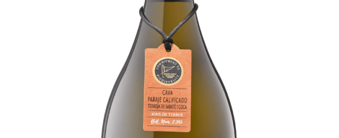 castellroig sabate i coca