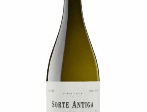 Rafael Palacios: The Master of Godello in Valdeorras
