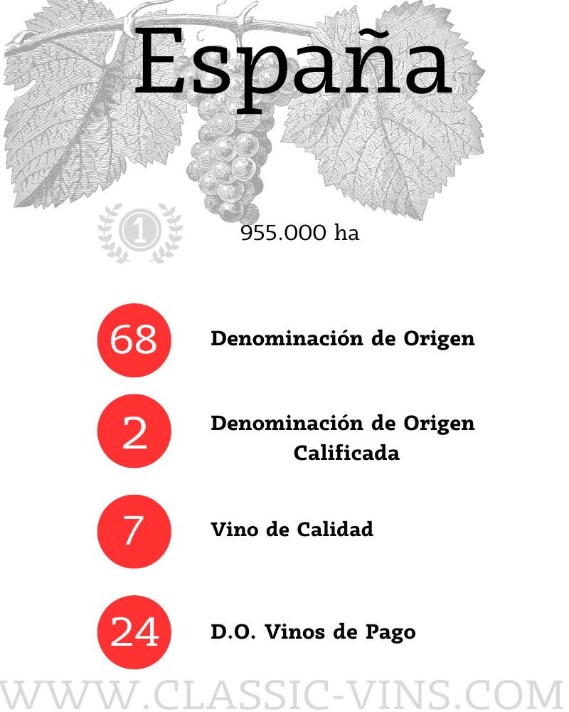 SPANISH WINE REGIONS