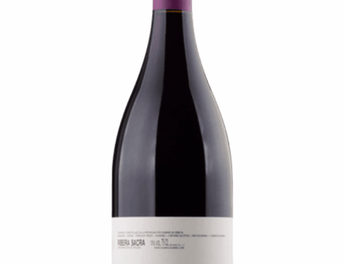 Ribeira Sacra: Spain’s Next Cult Wine Region?