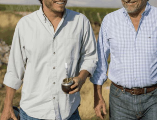 New Arrival in Our Porfolio: Zuccardi wines